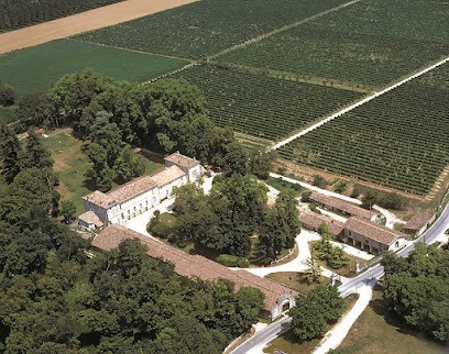 Château De L'Hurbe, Vignoble à Saint-Laurent-d'Arce
