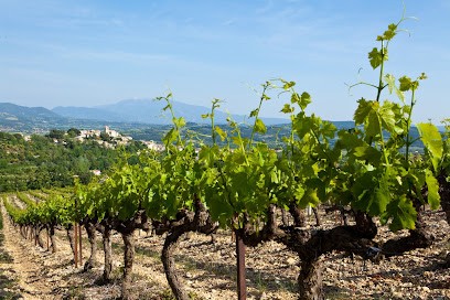 Domaine Jaume, Vignoble à Vinsobres