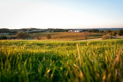Château Paillas, Vignoble à Floressas