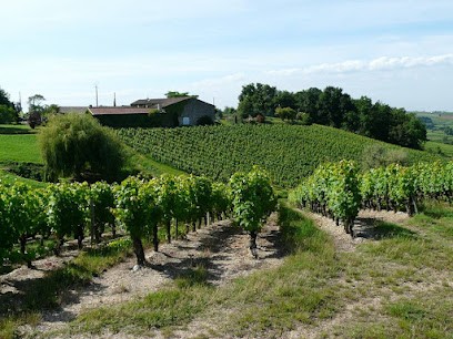 Domaine du Noble, Vignoble à Loupiac