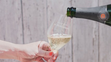 Hostomme et Fils, Vignoble à Chouilly