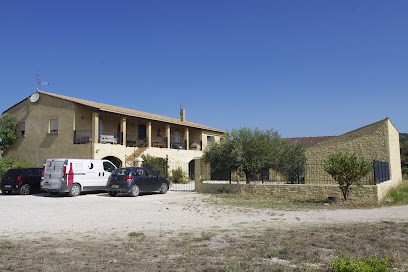 Domaine D'Eujies, Vignoble à Saint-Hilaire-d'Ozilhan