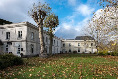 Orchidées, Maisons De Vin, Vignoble à Saumur