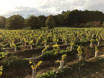 Repaire Mas-Ségur, Vignoble à Ségur-le-Château