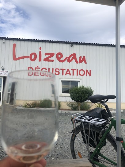 Domaine Loizeau Clain, Vignoble à Saint-Saturnin-sur-Loire