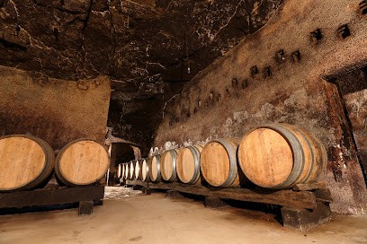 Domaine Yannick Amirault, Vignoble à Bourgueil