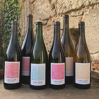 Claud Delem - Le Domaine Viticole Vignoble à Saint-Martin-de-Gurson