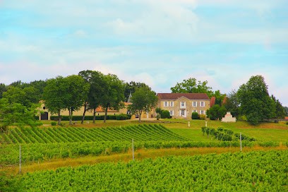 Château De L'Estang, Vignoble à Saint-Genès-de-Castillon