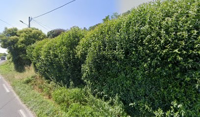 Chateau Vrai Merlet, Vignoble à Saint-Germain-de-la-Rivière