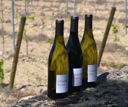 Domaine Le Coustalas, Vignoble à Saint-Pierre-de-Vassols