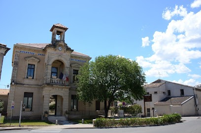 Château de bezouce - La Flouradalis, Vignoble à Bezouce