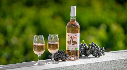 Domaine Du Mas Des Jeux, Vignoble à Saint-Laurent-d'Aigouze