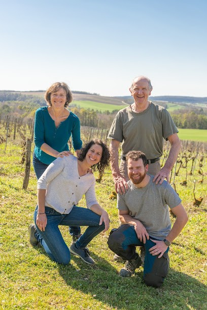 Earl Champagne Thierry Massin, Vignoble à Ville-sur-Arce