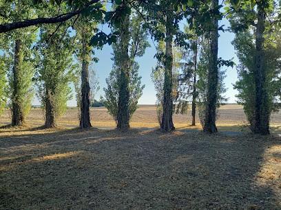 Desbourdes Rémi Earl, Vignoble à Avon-les-Roches