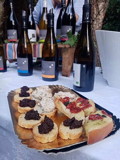 Domaine La Beille, Agathe Larrère, Vignoble à Corneilla-la-Rivière