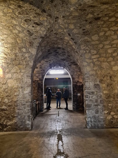 - Domaine PHILIPPE MIGNON, Vignoble au Breuil