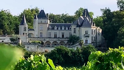 Castle of La Rivière, Vignoble à La Rivière
