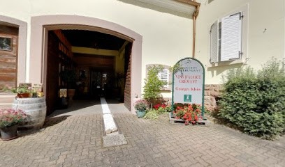 Georges Klein, Vignoble à Saint-Hippolyte