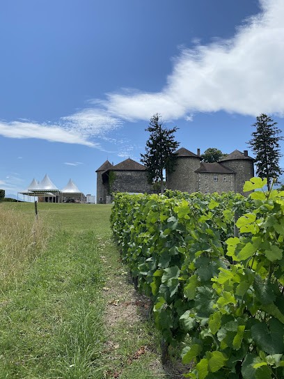 Château Bayard, Vignoble à Pontcharra