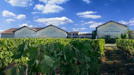 Château Canon Chaigneau, Vignoble à Néac