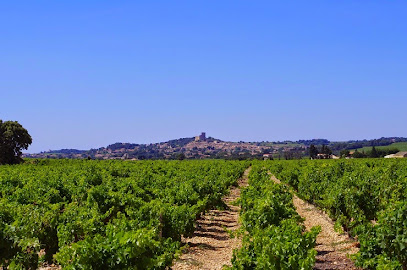 Mas Saint Louis Vignoble à Châteauneuf-du-Pape