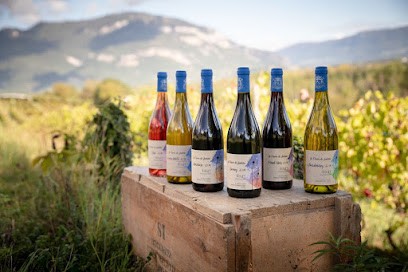 La Ferme De Jeanne - Domaine Viticole, Vignoble à Flaxieu