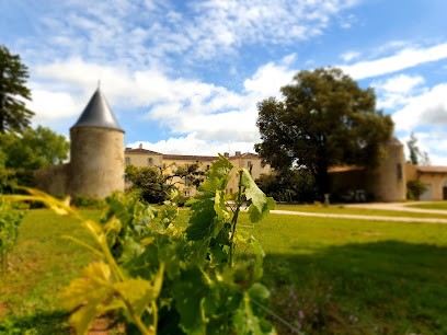 Château Livran, Vignoble à Saint-Germain-d'Esteuil