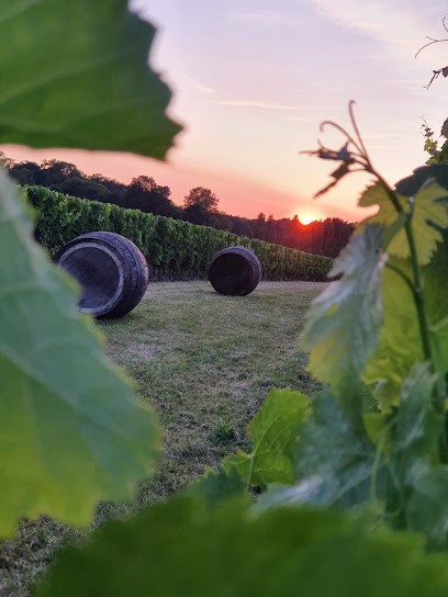 Vignoble Chauraud, Pineau Cognac Vin Cocktail, Gîte, Vignoble à Saint-Léger