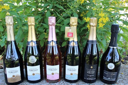 Champagne TORCHET, Vignoble à Villenauxe-la-Grande