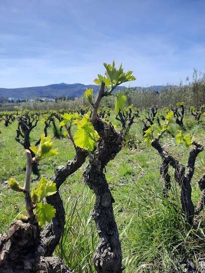 Mas Bouscarel, Vignoble à Espira-de-l'Agly
