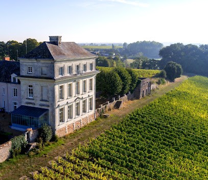 Château d'Avrillé, Vignoble aux Alleuds