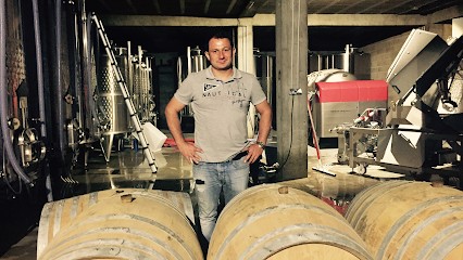 Domaine Buzzo Bunifazziu - Vignoble à Bonifacio - Dégustation, Vignoble à Bonifacio