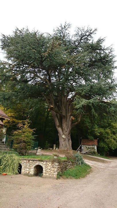 SCEV Alain Girard et Fils, Vignoble à Veaugues