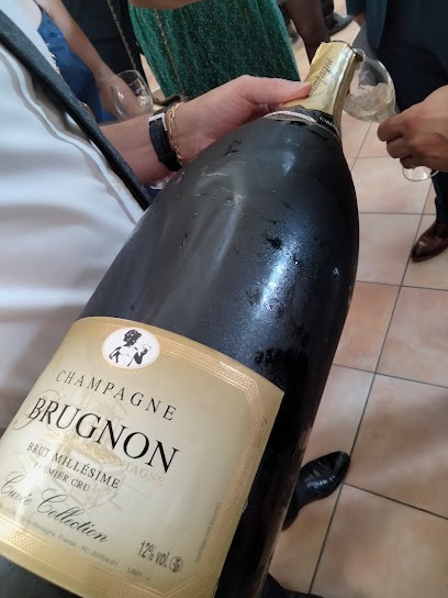 Brugnon Philippe, Vignoble à Rilly-la-Montagne