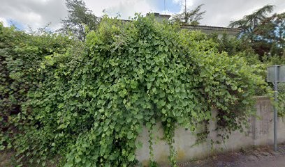 Picard Pierre, Vignoble à Saint-Dionisy