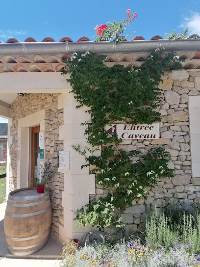 Domaine Du Serre Des Vignes Vignoble à Roche-Saint-Secret-Béconne