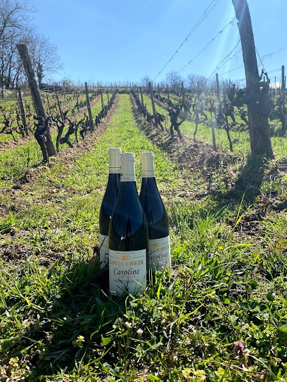 Domaine Chèze Earl, Vignoble à Charnas
