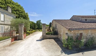 Château Fontenil, Vignoble à Saillans