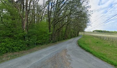 Chateau Du Siron, Vignoble à Saint-Martin-de-Sescas