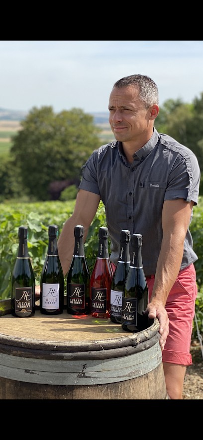 Julien Herbert, Vignoble à Rilly-la-Montagne
