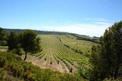 Château Beauferan, Vignoble à Velaux