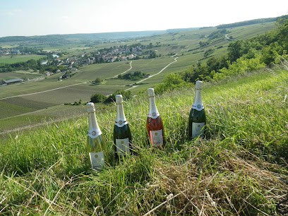 CHAMPAGNE JÉRÔME BLIN, Vignoble à Vincelles