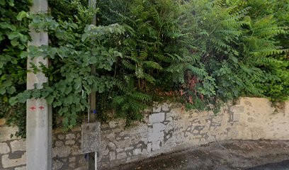Château Canon Pécresse, Vignoble à Saint-Michel-de-Fronsac