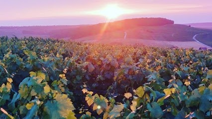 SARL PRESTIVIGNES, Vignoble à Villevenard