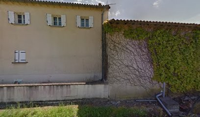 Château Les Vieux Maurins, Vignoble à Saint-Sulpice-de-Faleyrens