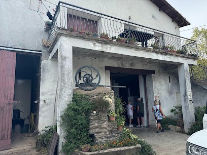 Taillefer Michel, Vignoble à Montesquieu