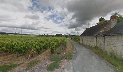 Gore Francois, Vignoble à Benais