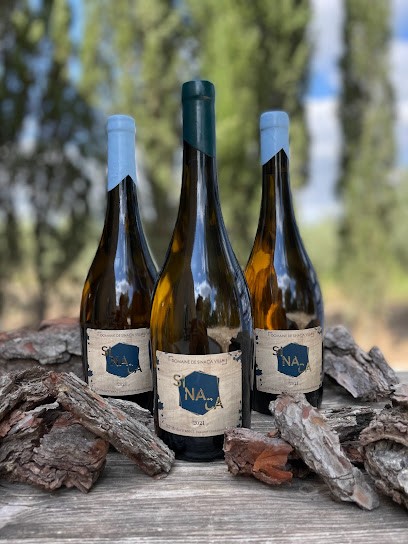 Domaine de Sinaca Villa, Vignoble à Sénas