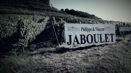 Domaine Jaboulet Philippe et Vincent, Vignoble à Mercurol-Veaunes