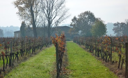 Vin De Bordeaux : SAS CRESUS, Vignoble à Sainte-Terre